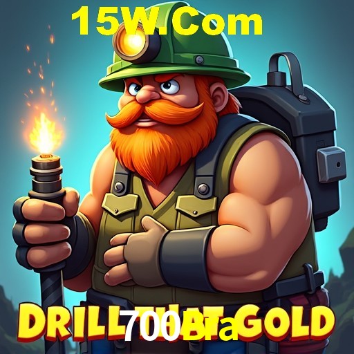 Security Systems 700Bra